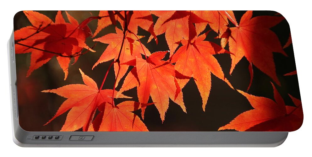 Japanese Maple Tree Portable Battery Charger featuring the photograph Japanese Maple Leaves in Fall by Valerie Collins