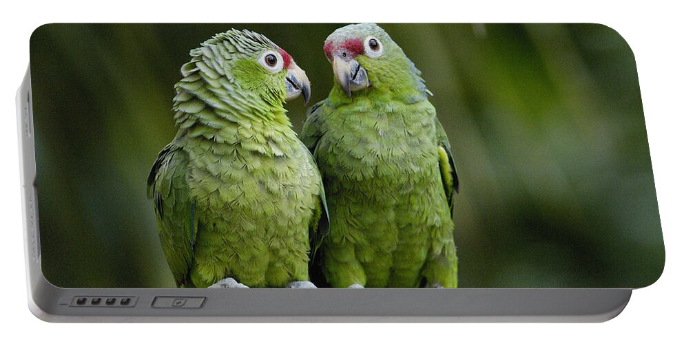 Feb0514 Portable Battery Charger featuring the photograph Red-lored Parrots Ecuador by Pete Oxford