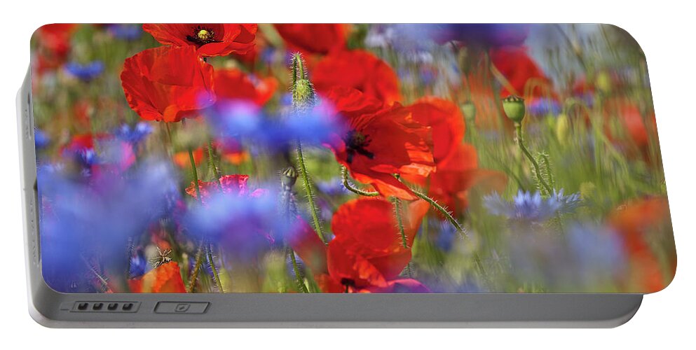 Poppy Portable Battery Charger featuring the photograph Red Poppies in the Maedow by Heiko Koehrer-Wagner