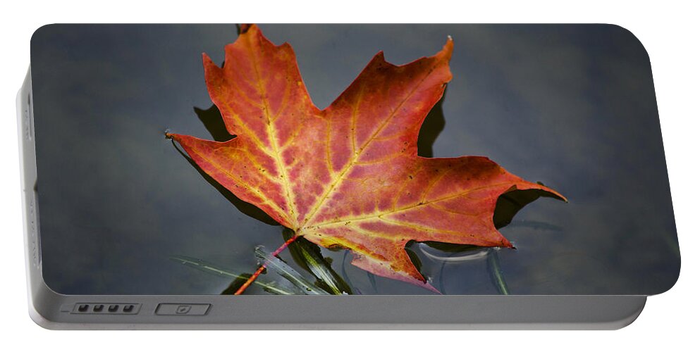 Leaf Portable Battery Charger featuring the photograph Red Sugar Maple Leaf by Christina Rollo