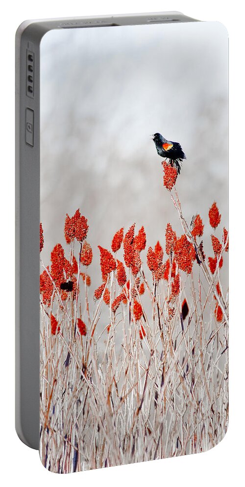 Dunns Marsh Portable Battery Charger featuring the photograph Red Winged Blackbird On Sumac by Steven Ralser