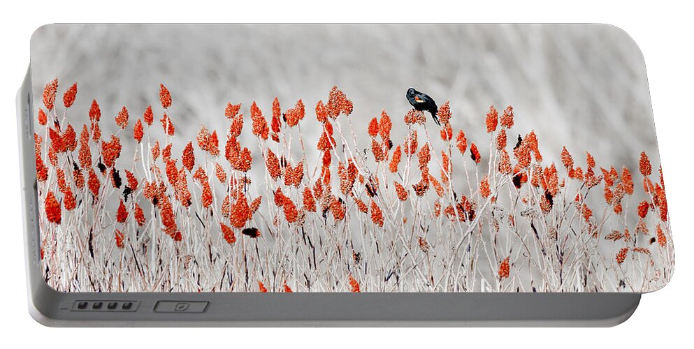 Bird Portable Battery Charger featuring the photograph Red-winged Blackbird by Steven Ralser