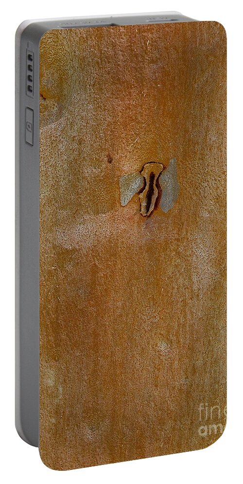 Bush Portable Battery Charger featuring the photograph Redgum tree by Steven Ralser