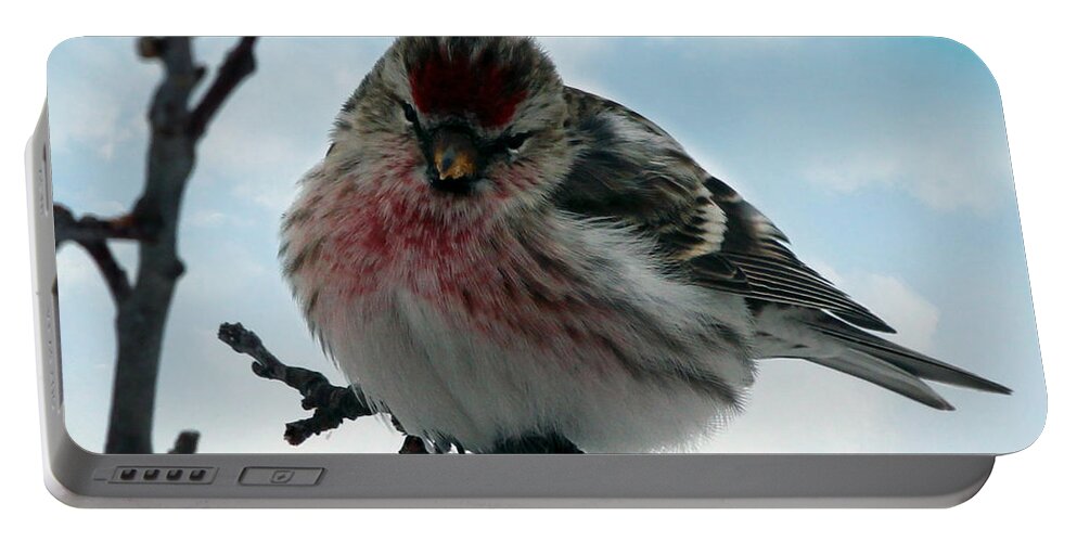 Redpoll Portable Battery Charger featuring the photograph Redpoll by Jackson Pearson