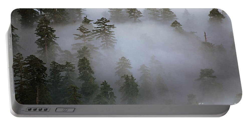 Nature Portable Battery Charger featuring the photograph Redwood Creek overlook with giant redwoods by Jim Corwin