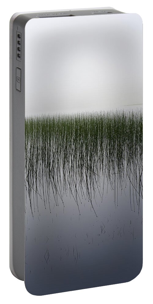 Reeds Portable Battery Charger featuring the photograph Reeds in the mist by Gary Eason