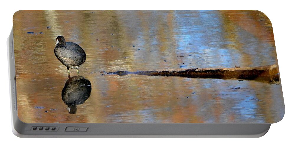 Coot Portable Battery Charger featuring the photograph Reflecting by Deena Stoddard