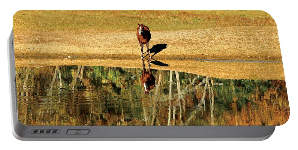 Chestnut Mare Portable Battery Charger featuring the photograph Reflection by Carol Lynn Coronios