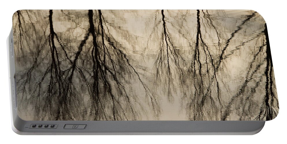 Landscape Portable Battery Charger featuring the photograph Reflections in black and grey by Adriana Zoon