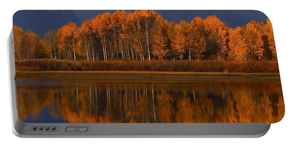 Landscape Portable Battery Charger featuring the photograph Last Sentinels by David Andersen
