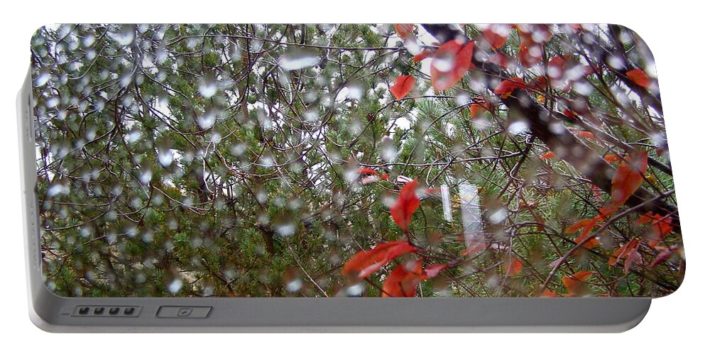 Rain Portable Battery Charger featuring the photograph Reflections of Rain by LeLa Becker