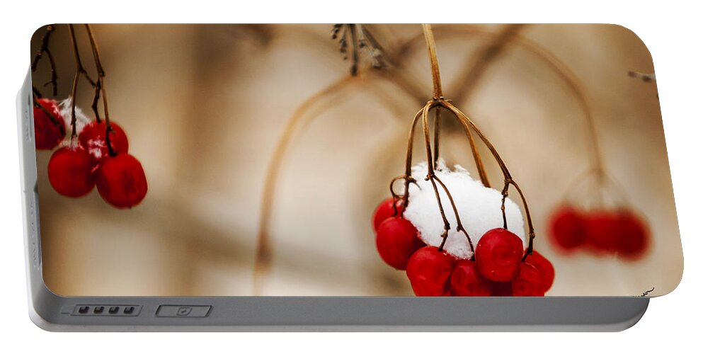 Winter Scene Portable Battery Charger featuring the photograph Refrigeration by Ed Peterson