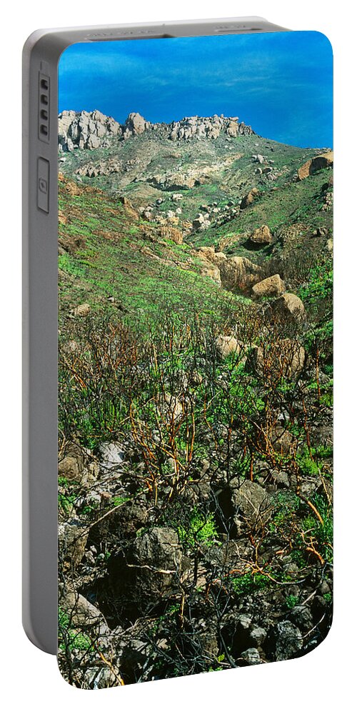 Adaptation Portable Battery Charger featuring the photograph Regrowth After Fire by Richard Hansen