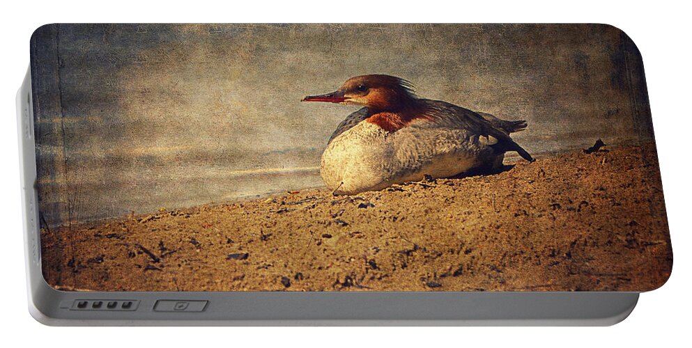 Merganser Portable Battery Charger featuring the photograph Relaxing Under The Sun by Maria Angelica Maira