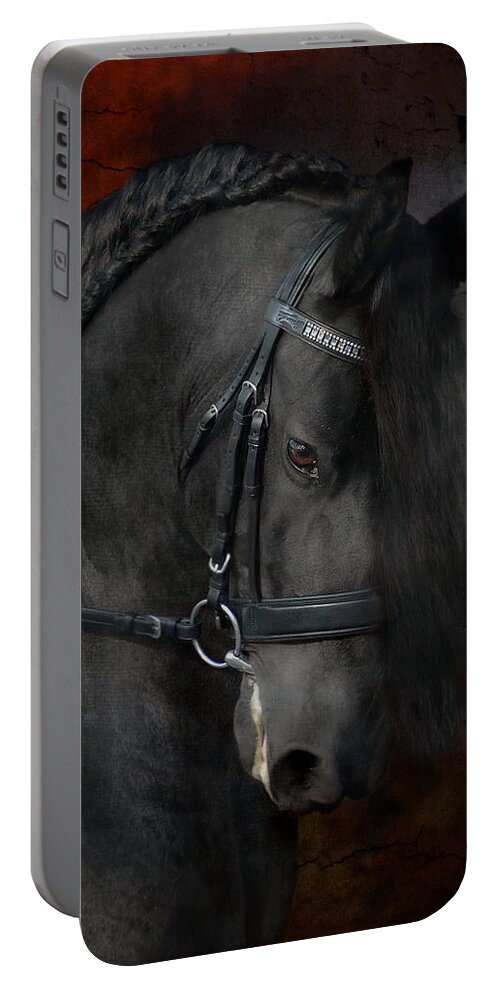 Horses Portable Battery Charger featuring the photograph Rembrandt by Fran J Scott