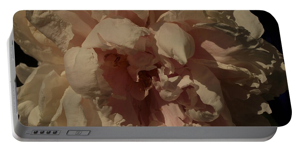 Peony Portable Battery Charger featuring the photograph Rembrandt's Peony by Connie Handscomb