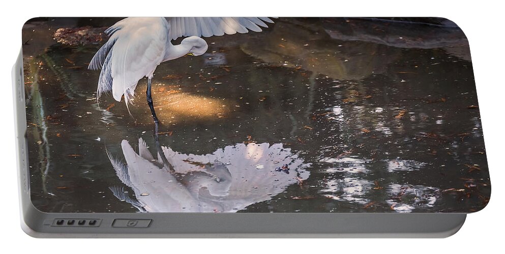Ardea Alba Portable Battery Charger featuring the photograph Revealed Landscape by Kate Brown