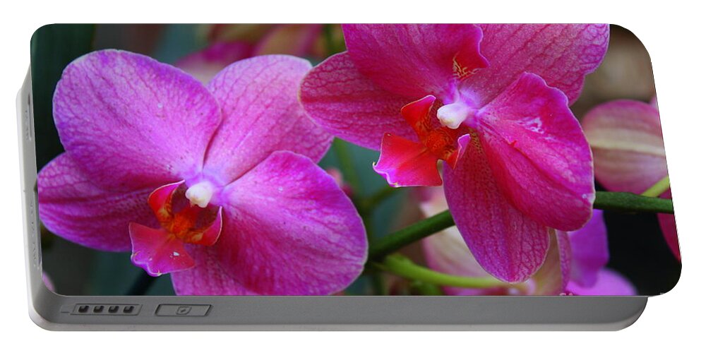 Orchids Portable Battery Charger featuring the photograph Rhapsody in Purple - Orchids by Dora Sofia Caputo
