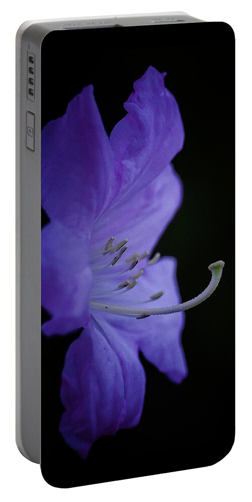Rhododendron Portable Battery Charger featuring the photograph Rhododendron by Ron Roberts