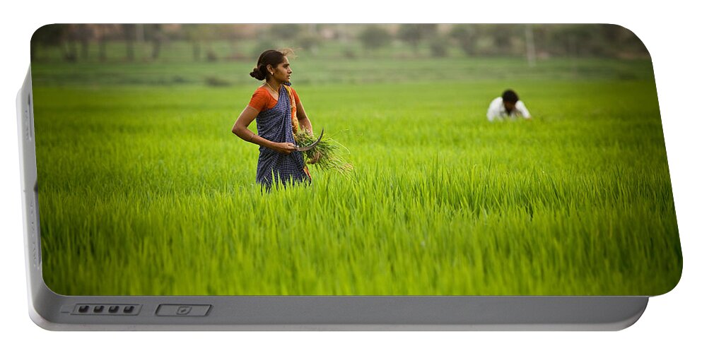 India Portable Battery Charger featuring the photograph Rice Harvest by John Magyar Photography