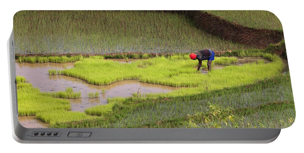 Feb0514 Portable Battery Charger featuring the photograph Rice Paddy Near Ambalavao Madagascar by Konrad Wothe