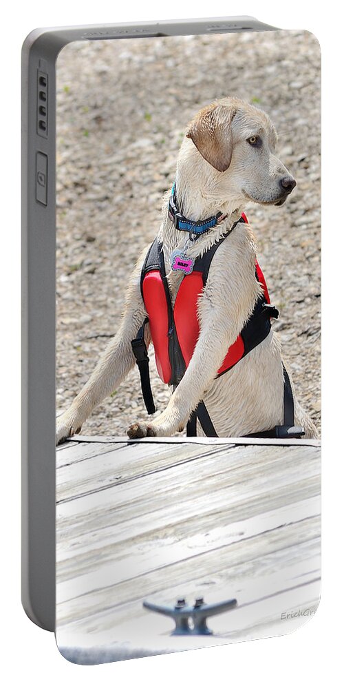 Texas Portable Battery Charger featuring the photograph Riley by Erich Grant