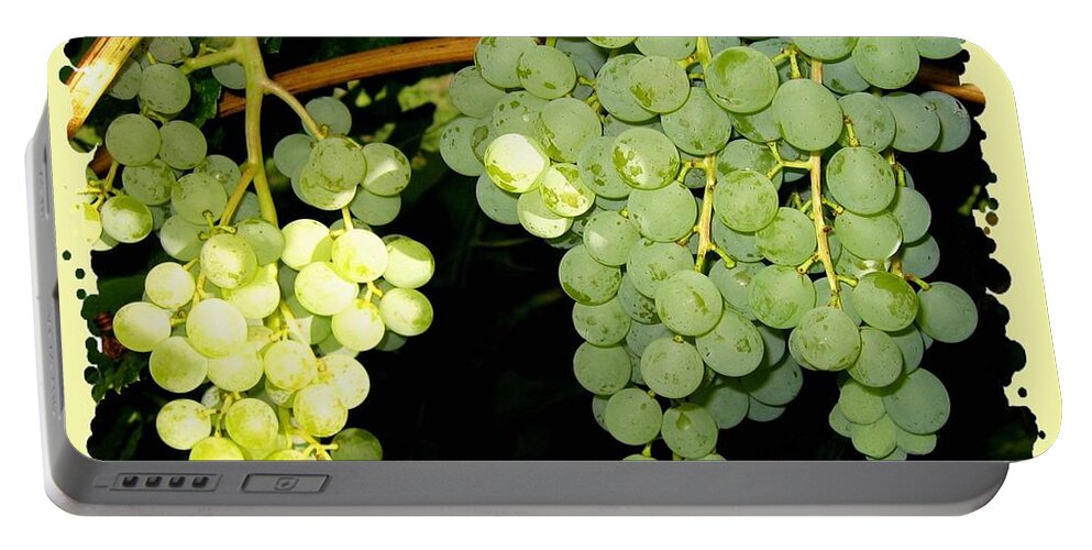 Ripe On The Vine Portable Battery Charger featuring the photograph Ripe On The Vine by Will Borden