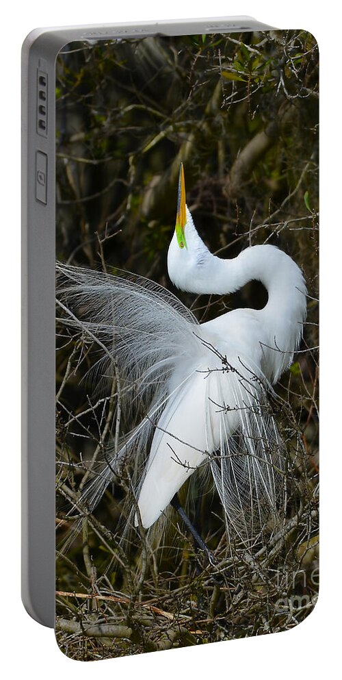 Great Egret Portable Battery Charger featuring the photograph Rituals Of Courtship by Kathy Baccari