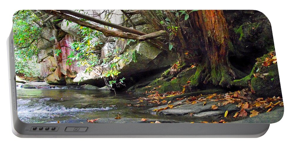 Waterfalls Portable Battery Charger featuring the photograph River Shoreline by Duane McCullough