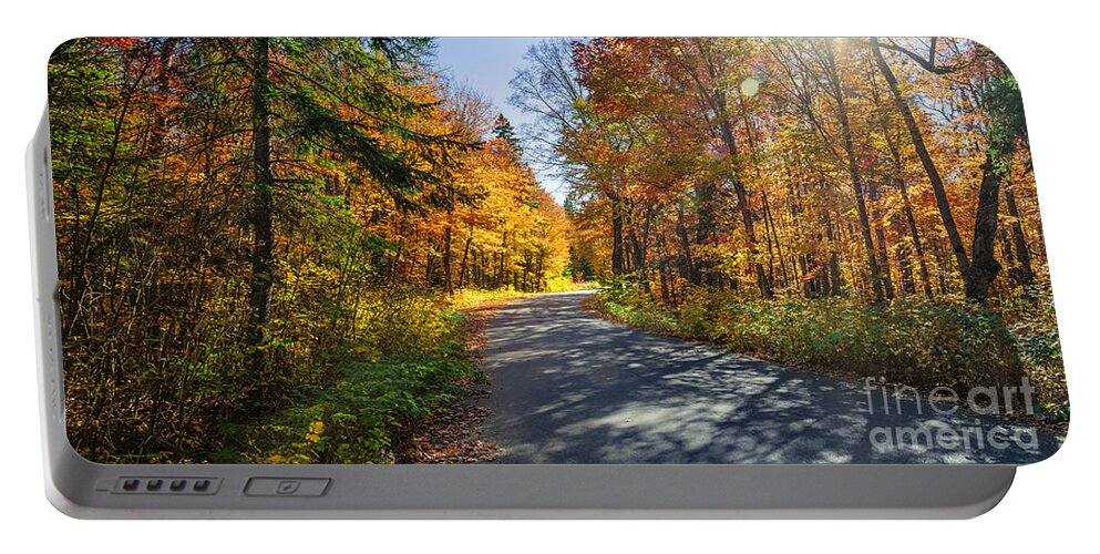 Road Portable Battery Charger featuring the photograph Road through fall forest by Elena Elisseeva