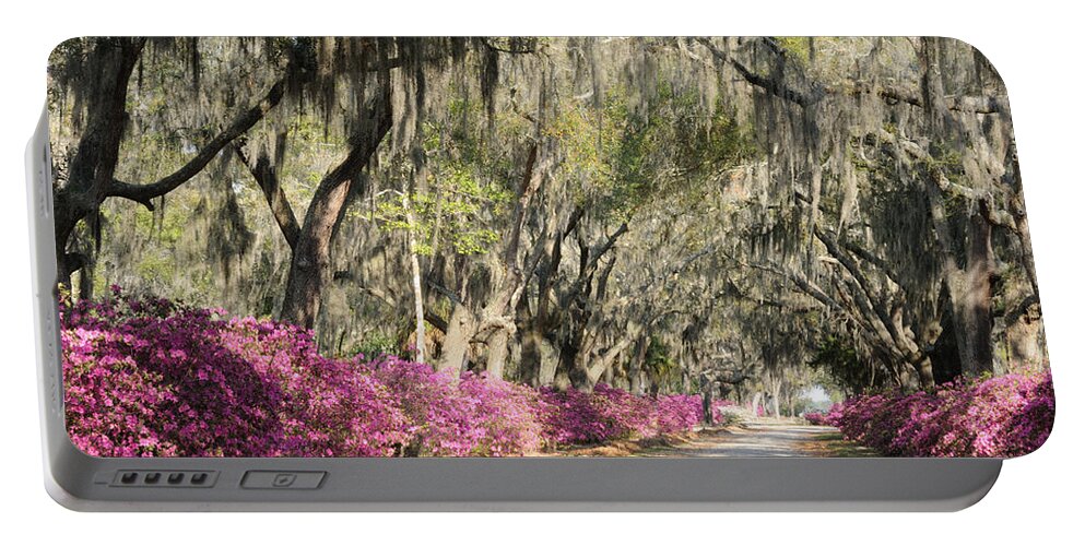 Road Portable Battery Charger featuring the photograph Road with Azaleas and Live Oaks by Bradford Martin
