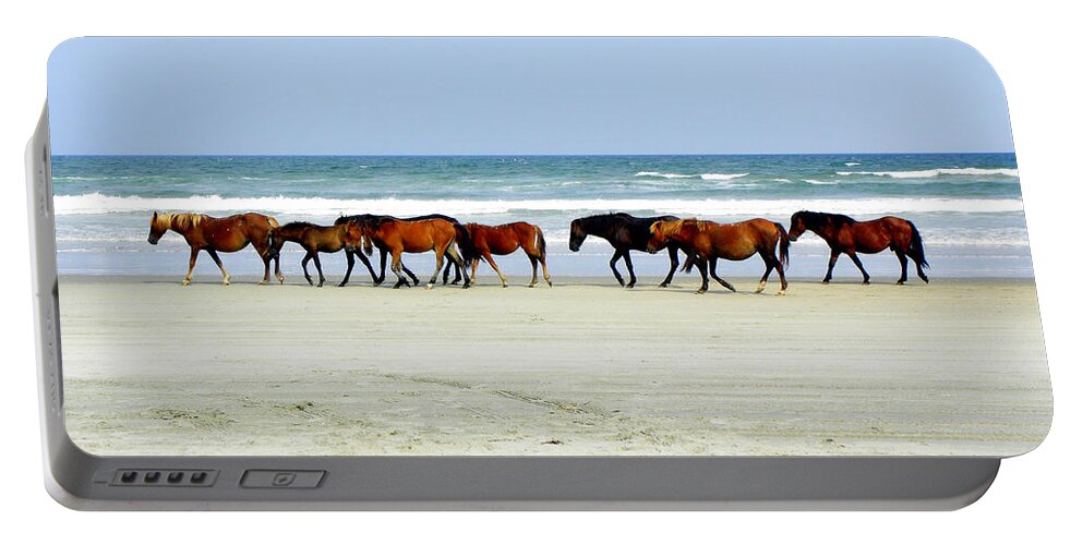 Wild Spanish Mustang Portable Battery Charger featuring the photograph Roaming Wild and Free by Kim Galluzzo Wozniak