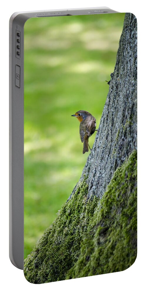 Garden Portable Battery Charger featuring the photograph Robin At Rest by Spikey Mouse Photography
