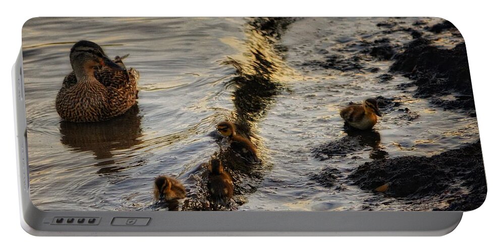 Ducks Portable Battery Charger featuring the photograph Rogue Waaaaaave by Robert McCubbin