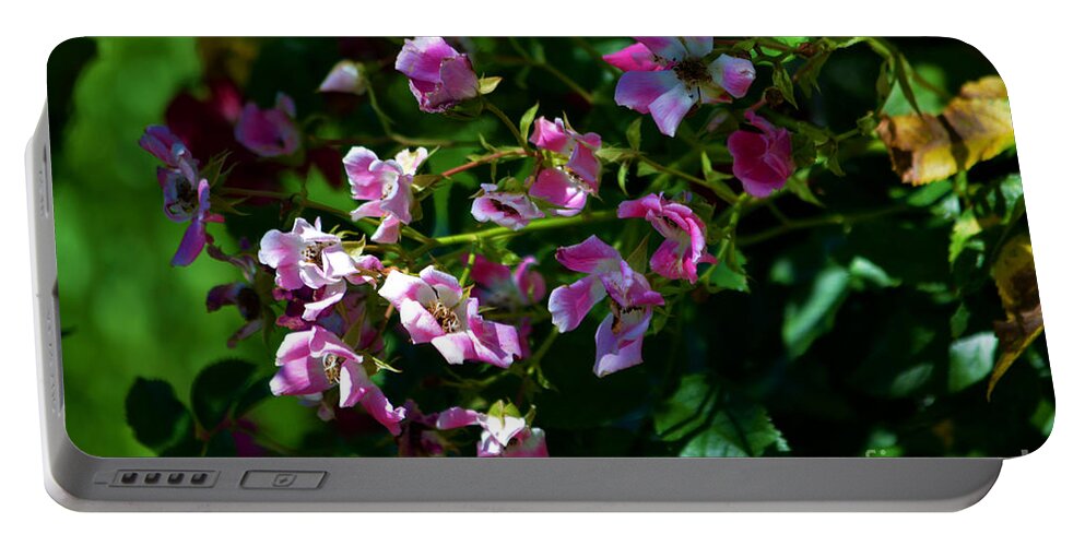 Rose Garden Portable Battery Charger featuring the photograph Rose Garden 2 by Susanne Van Hulst