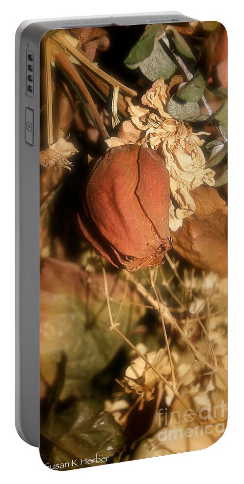 Rose Portable Battery Charger featuring the photograph Rose Of Old by Susan Herber