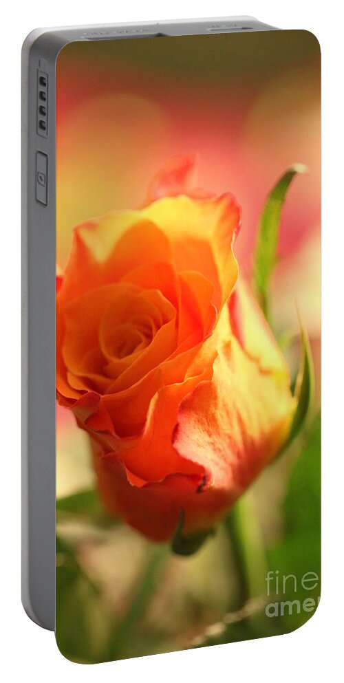Background Portable Battery Charger featuring the photograph Rose on pink background II by Amanda Mohler