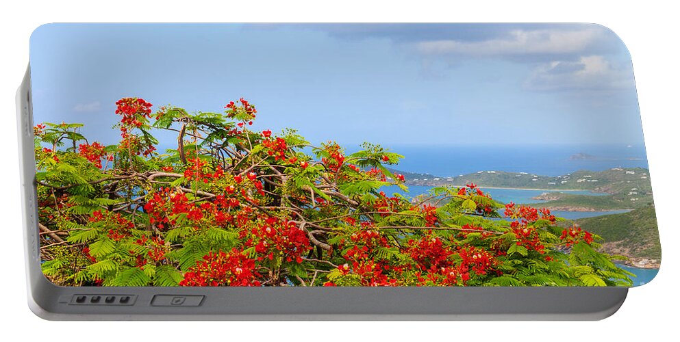 Turquoise Portable Battery Charger featuring the photograph Royal Poinciana View by Diane Macdonald