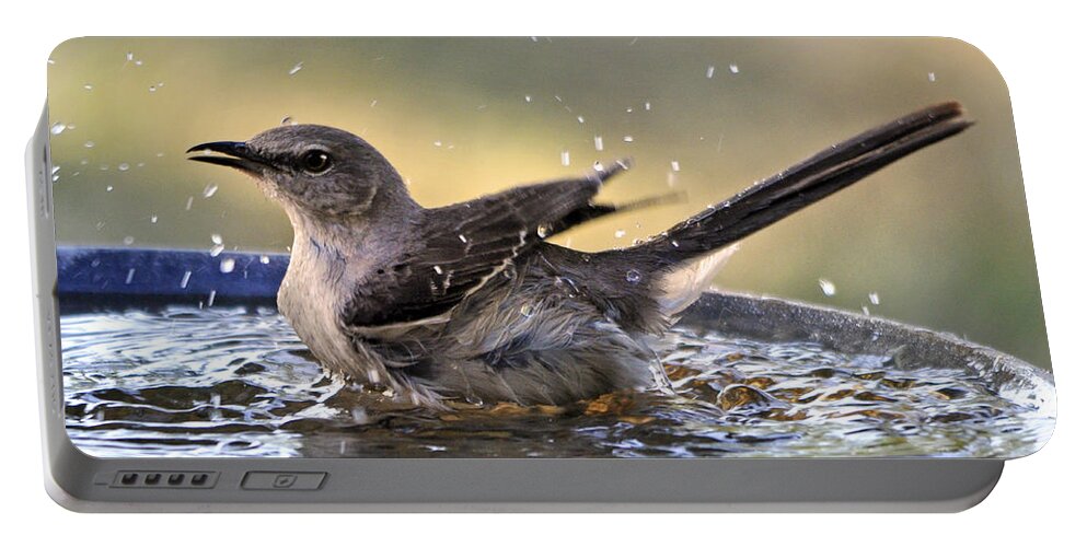 Nature Portable Battery Charger featuring the photograph Rub-a-dub-dub Mockingbird by Nava Thompson