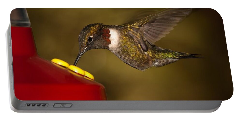 Ruby Throated Hummingbird Portable Battery Charger featuring the photograph Ruby Throated Hummingbird by Robert L Jackson