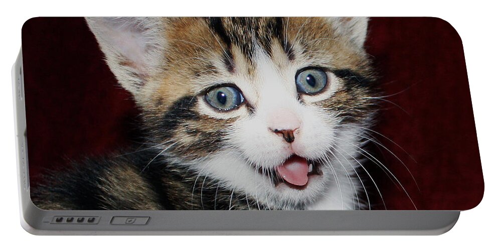 Naughty Kitten Portable Battery Charger featuring the photograph Rude Kitten by Terri Waters