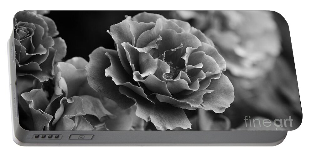 Rose Portable Battery Charger featuring the photograph Ruffles by Linda Lees