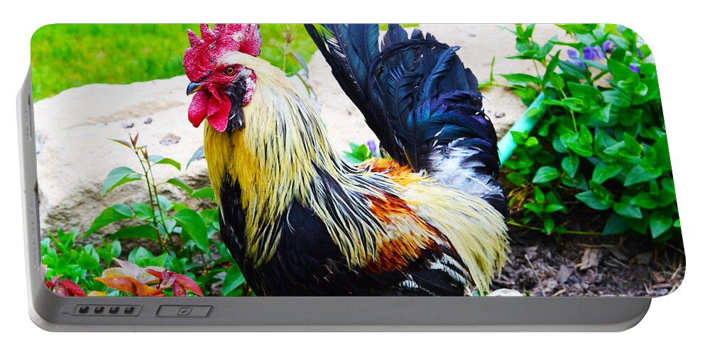  Portable Battery Charger featuring the photograph Ruling Rooster 2 by Brent Dolliver