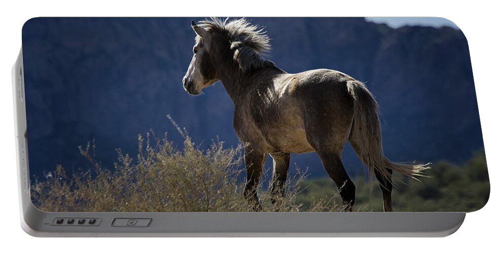 Wild Horse Portable Battery Charger featuring the photograph Run Like the Wind by Saija Lehtonen