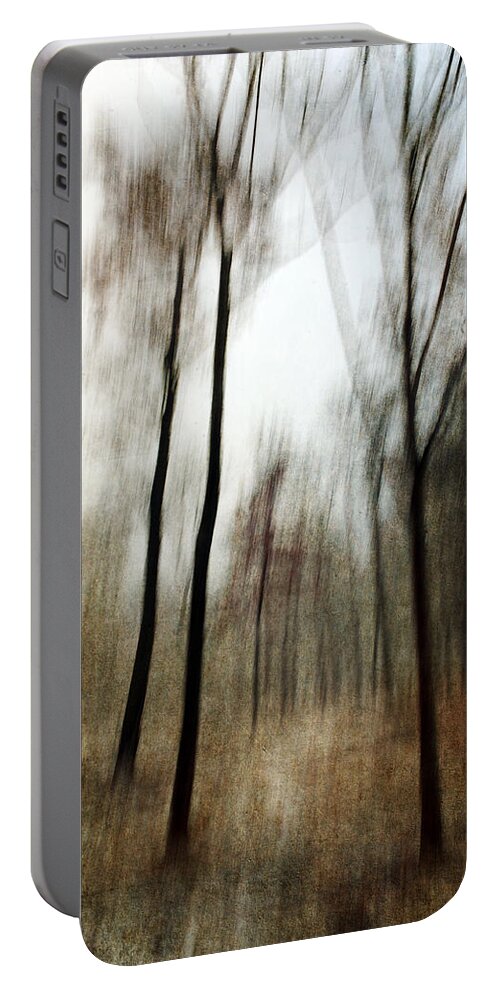 Abstract Portable Battery Charger featuring the photograph Running Through the Woods by Randi Grace Nilsberg