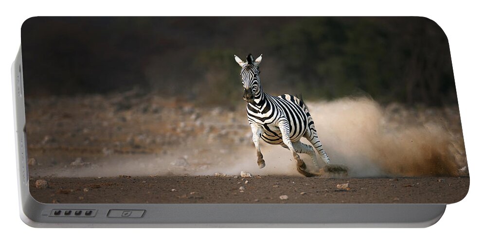 Zebra Portable Battery Charger featuring the photograph Running Zebra by Johan Swanepoel