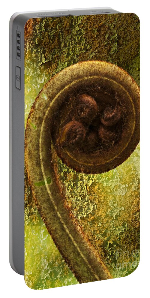 Plant Portable Battery Charger featuring the photograph Rust and Fern by Heiko Koehrer-Wagner