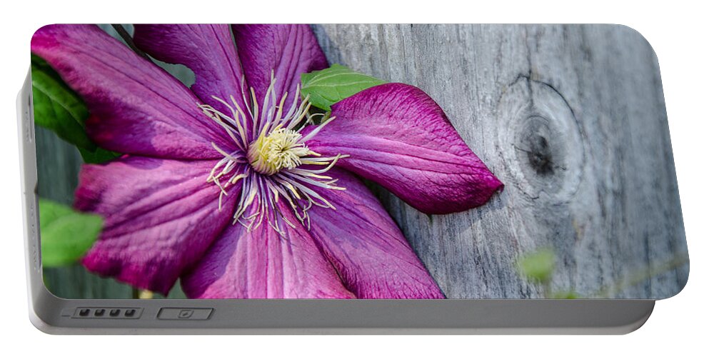 Climbing Clematis Portable Battery Charger featuring the photograph Rustic Clematis by Susan McMenamin
