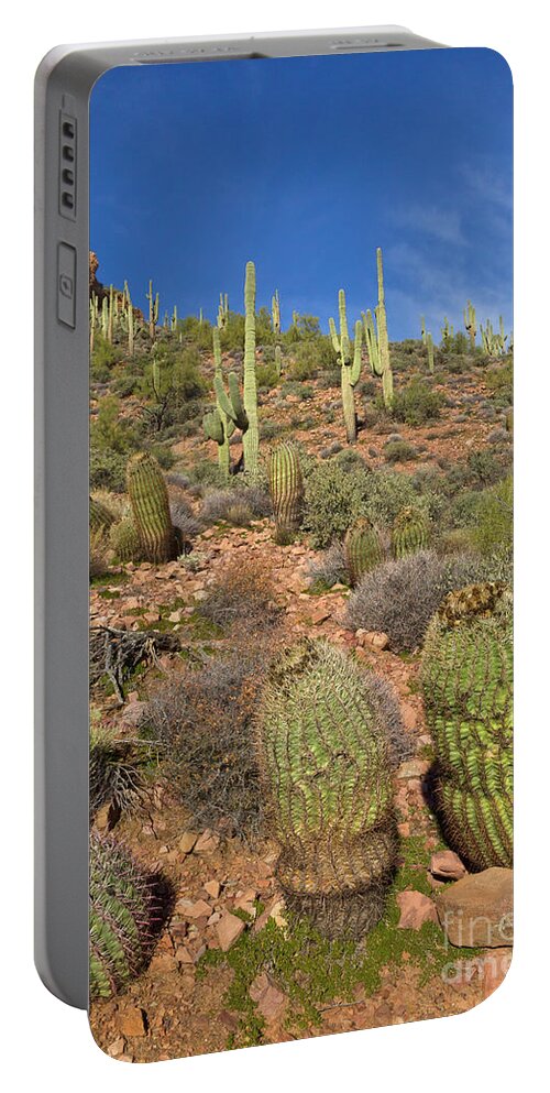 00559179 Portable Battery Charger featuring the photograph Saguaro And Barrel Cacti Tonto N M by Yva Momatiuk John Eastcott