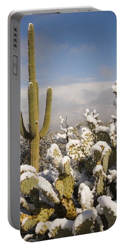 Feb0514 Portable Battery Charger featuring the photograph Saguaro Cactus In Snow Saguaro Np by Tom Vezo